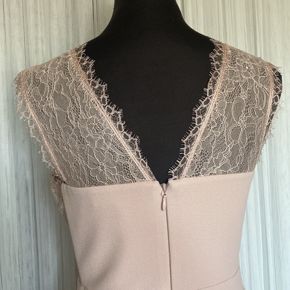 REDUCED!! BCBG Mirannda, evening maxi gown, prom, wedding, bridesmaid Size 6 - Picture 13 of 17